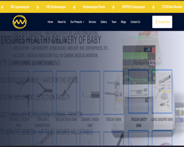 Weber Medical Private Limited - Website project by The SoftSys Lucknow