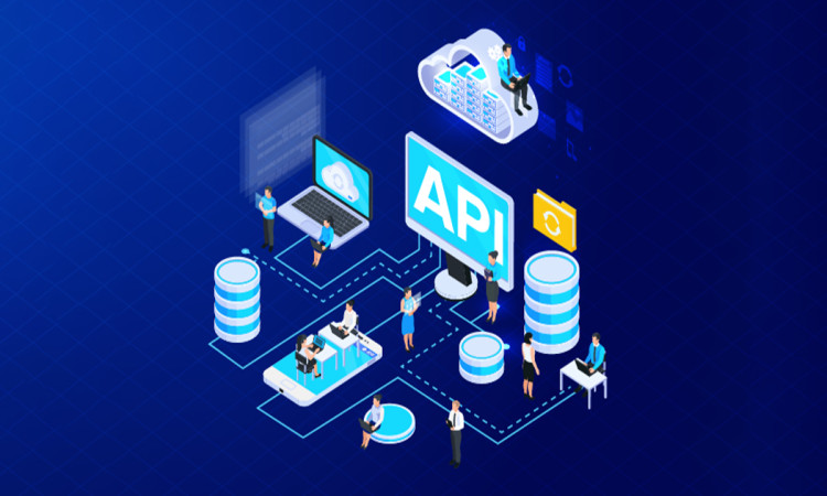 API Development & Integrationt